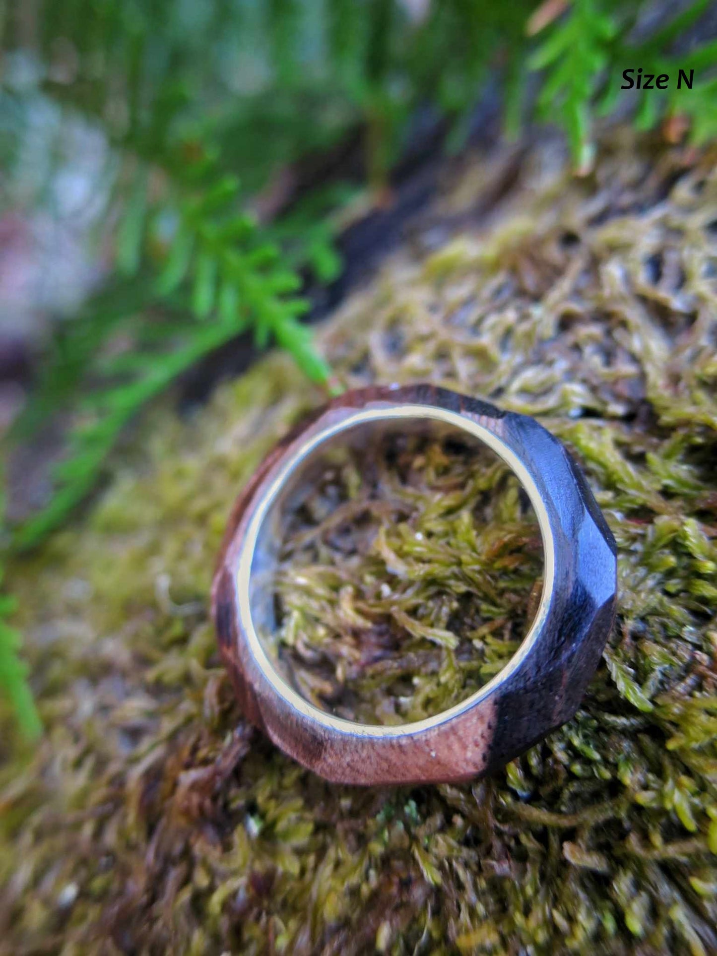 Faceted and Fine Ebony and Silver Band