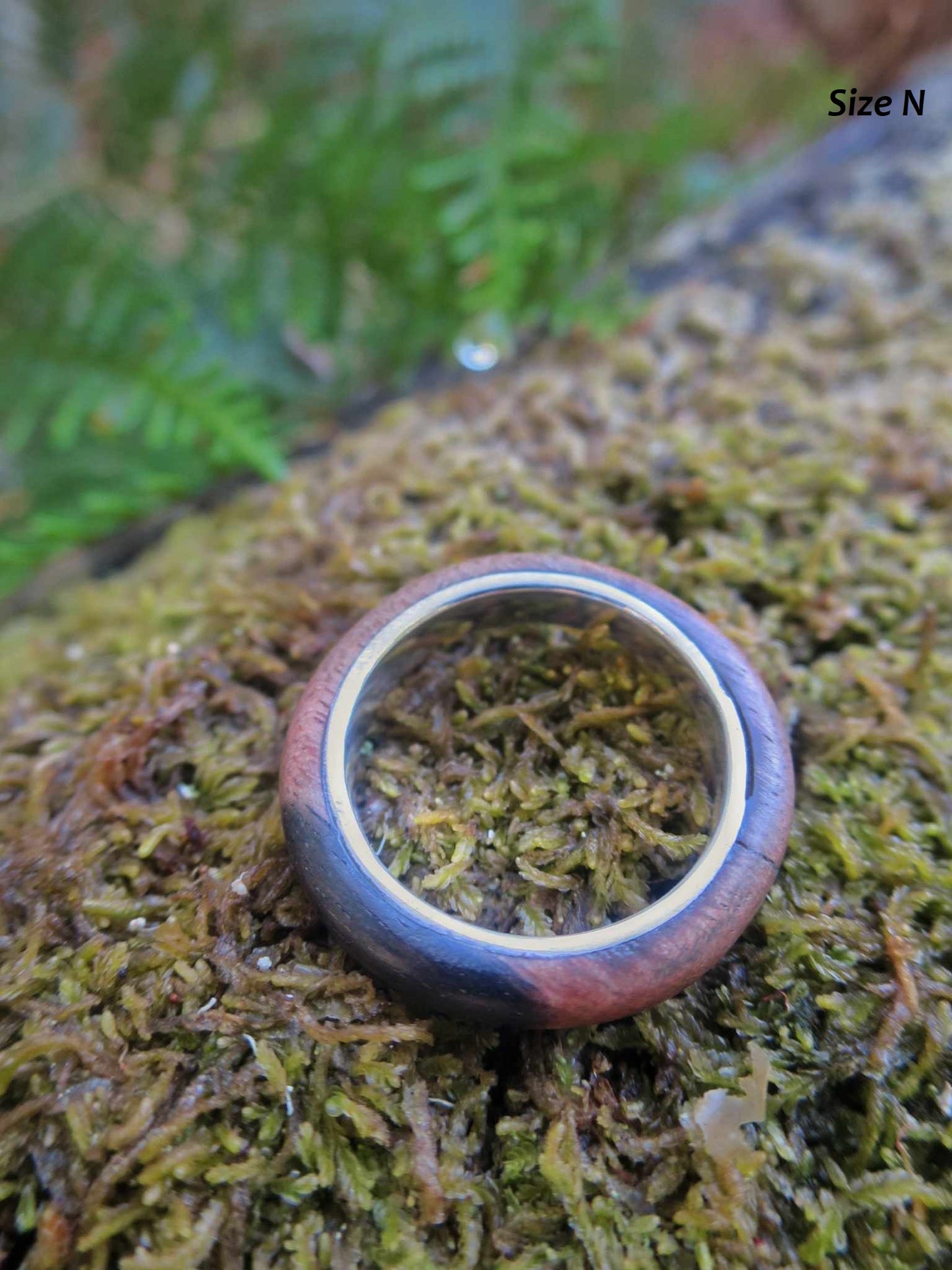 Fine Ebony and Silver Band