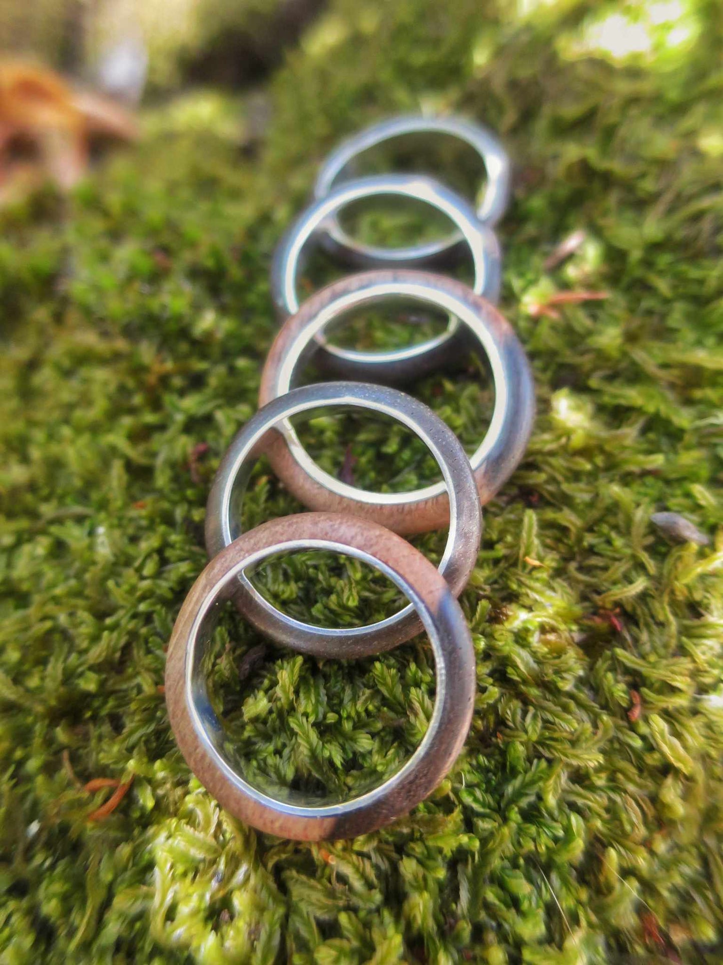Fine Ebony and Silver Band