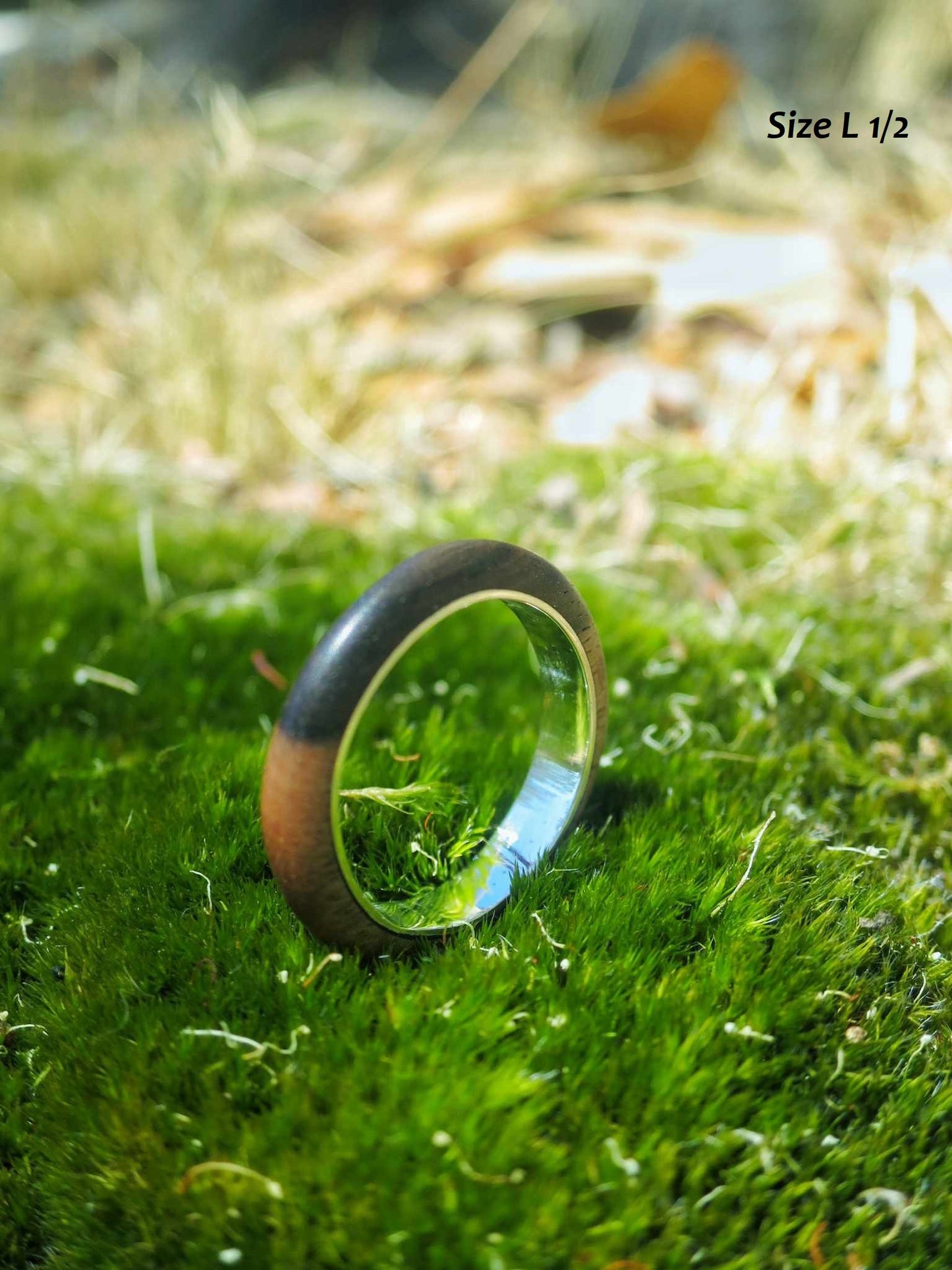Fine Ebony and Silver Band