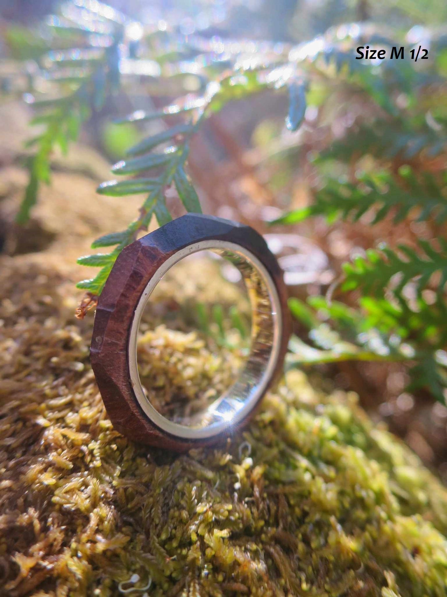 Faceted and Fine Ebony and Silver Band